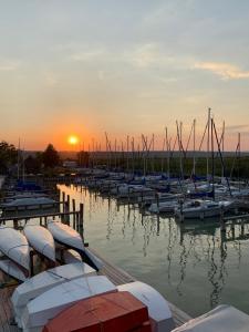 拉斯特Seehütte Neusiedlersee - Urlaub am Wasser的日落时分停靠在码头的一组船