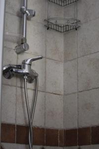 奥斯塔Eleonora’s Home的带淋浴喷头的浴室