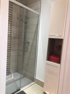 纽里Clanrye House Guest Accommodation的浴室里设有玻璃淋浴间,备有红色毛巾