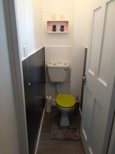 伦敦BIG BEN'S SHADE的一间带卫生间和绿色座椅的浴室