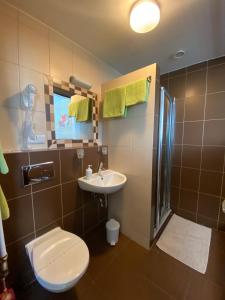 科希策赛特旅馆的浴室配有卫生间、盥洗盆和淋浴。