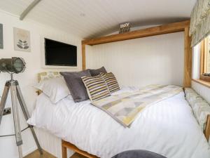 贝图瑟科伊德Betws View, Shepherd Hut的一间卧室配有一张带电视的床和一张三脚架