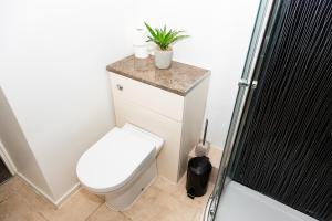 盖茨黑德Tyne Apartments的一间带卫生间的浴室和一个植物台面
