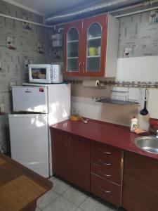 敖德萨Apartment Observatornyi的厨房配有白色冰箱和水槽