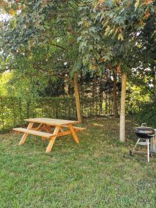 鲁昂Auberge de Jeunesse HI Rouen的一张野餐桌和树旁的烤架