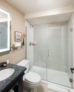 芝加哥克拉里奇牛津酒店集团的带淋浴、卫生间和盥洗盆的浴室