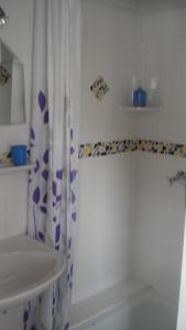 施马伦贝格宋恩谢因酒店的浴室配有淋浴帘和盥洗盆。