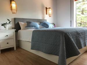Sant Llorenç de la MugaEls Avets de la Muga的一间卧室配有一张带蓝色枕头的床和一扇窗户。