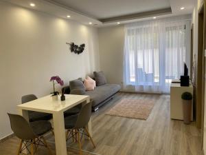 豪伊杜索博斯洛Oasis Apartman的客厅配有沙发和桌子