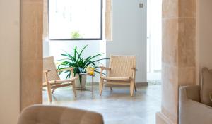 阿瑞安妮Ynaira hotel & Spa的一个房间,有三把椅子,一张桌子,一个植物