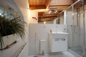 宾茨Villa Jugendglück by Rujana的白色的浴室设有水槽和淋浴。