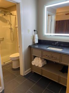 新奥尔良普雷斯迪阿梅斯酒店的一间带水槽、卫生间和镜子的浴室