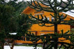 La JuntaAlto Melimoyu Hotel & Patagonia的小木屋前的松树