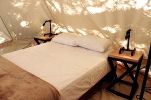HidalgoLa Posada en el Potrero Chico的帐篷内一间卧室,配有一张床