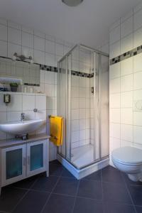 文迪施里茨Fischhaus Am Kleinen Glubigsee的带淋浴、盥洗盆和卫生间的浴室