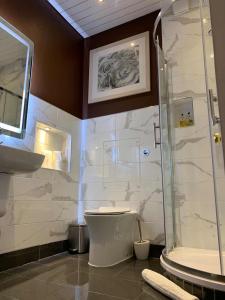 爱丁堡南边宾馆的带淋浴、卫生间和盥洗盆的浴室