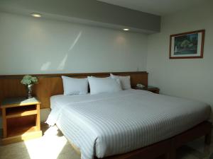 克雷塔罗Hotel Amberes的一间卧室配有一张带白色床单的大床
