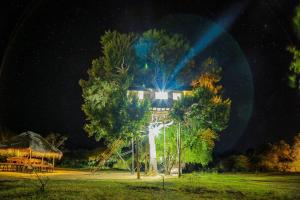 雅拉雅拉梦园帐篷营地的夜晚在树上放着光的房子