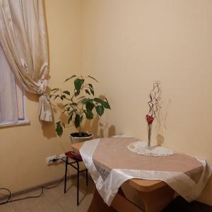 卢茨克Смарт-апартаменти " Lutskyj zamok"的一间房间,桌子上放着花瓶