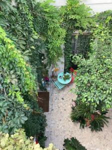 圣玛丽亚港圣玛丽亚赫斯派德斯酒店的种有一束植物和一张桌子的花园