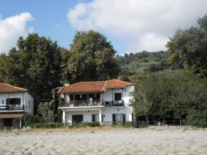 扎戈拉Beach House的树旁海滩上的白色房子