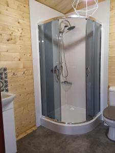 NiegowaLeśnisko的一间带卫生间的浴室内的玻璃淋浴间