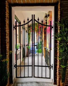 弗留利地区奇维达莱appartment & rooms SecondoPiano的通往种植了植物的庭院的开放式门
