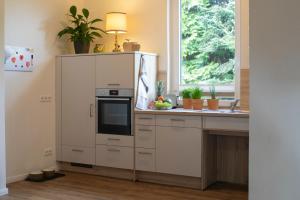 巴德茨维什安HausAltenkamp的厨房配有带微波炉和水槽的橱柜