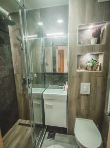 巴尼亚卢卡Apartman LUNI的带淋浴、卫生间和盥洗盆的浴室