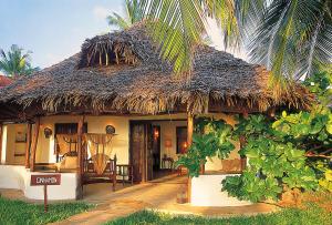 布韦朱桑给巴尔帕玛斯度假村的茅草屋顶和棕榈树的房子