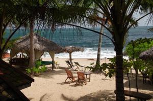 坦加拉Ibisbird Beach Bungalow的海滩上设有椅子和遮阳伞,还有大海