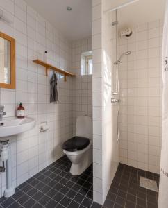瓦克斯霍尔姆Vaxholm Seaview Cottage的浴室配有卫生间、盥洗盆和淋浴。