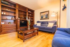 马德里Residencial Caliza的客厅配有蓝色的沙发和电视