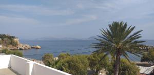 阿基奥斯基利考斯Apostolakis Rooms的阳台享有海景,种植了棕榈树。