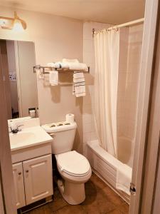 卡尔加里红地毯汽车旅馆的浴室配有卫生间、盥洗盆和淋浴。