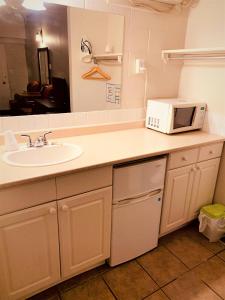 卡尔加里红地毯汽车旅馆的厨房柜台设有水槽和微波炉