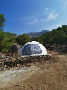 AlıncaTürkdomes Glamping的土路中间的温室