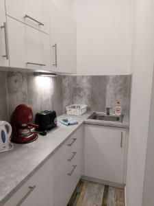 塞格德Pompár Belvárosi Apartman的厨房配有白色橱柜和水槽