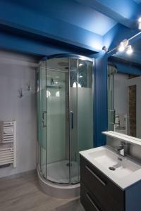 Montigny-sur-lʼAinLa Chambre du Tonneau的一间带玻璃淋浴和水槽的浴室