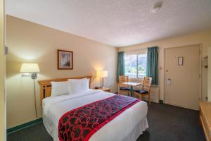 卡什克里克加拿大最佳价值沙漠旅馆及套房酒店的配有一张床、一张书桌和一扇窗户的酒店客房