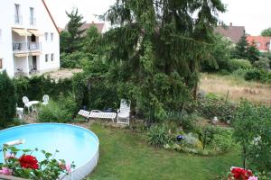 哈斯洛赫Ferienhaus Susanne的后院,有大树和游泳池