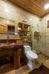 佩德纳莱斯Vista de Águilas Ecolodge的浴室配有卫生间、盥洗盆和淋浴。