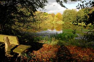 孙登伯格霍夫旅馆的公园长凳,坐在树木繁茂的湖泊旁