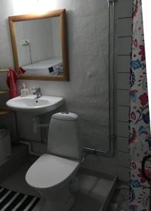 克里斯蒂娜港Lillstugan Elofstorp的一间带卫生间、水槽和镜子的浴室