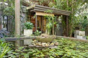 圣卢西亚乌姆利洛酒店的花园,花园内设有一个喷泉和植物池塘