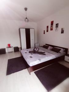 克卢日-纳波卡Vila ANA的一间卧室配有一张大床和两张地毯