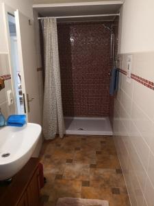 普特布斯Casa Hibiscus的带淋浴和盥洗盆的浴室