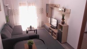 雅典Ellada Apartment的带沙发和电视的客厅