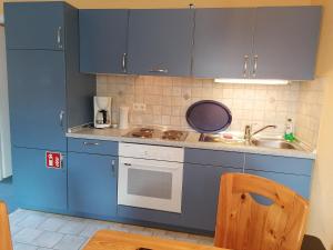 奥特里德维茨Gasthof-Ferienwohnungen-Kliesow´s Reuse的厨房配有蓝色橱柜和水槽