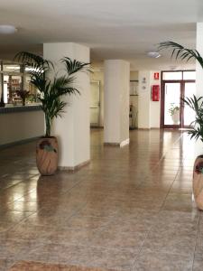 洛斯克里斯蒂亚诺斯PLAYA LAS VISTAS LOFT的大厅,在大楼里放两盆植物